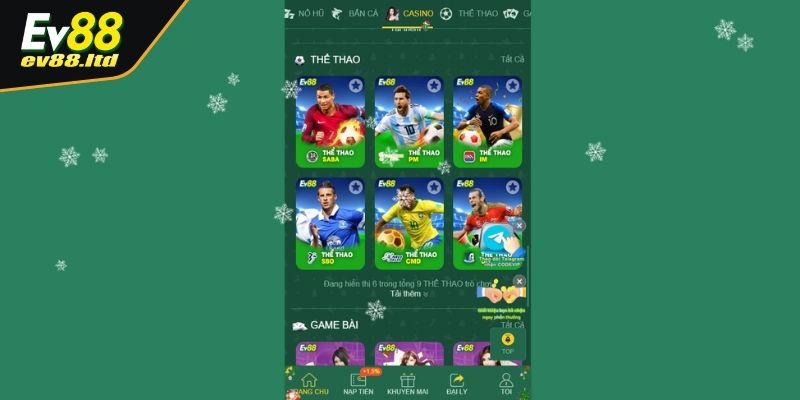 Cược thể thao hàng ngày